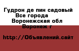 Гудрон де пин садовый - Все города  »    . Воронежская обл.,Воронеж г.